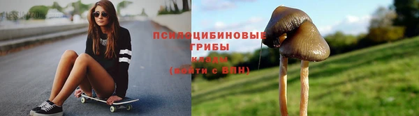 амф Мегион