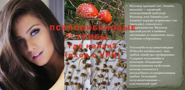 ECSTASY Медногорск