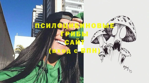 амф Мегион