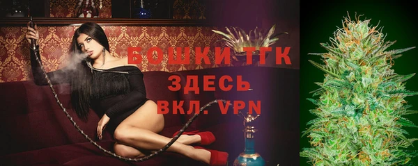 ECSTASY Медногорск