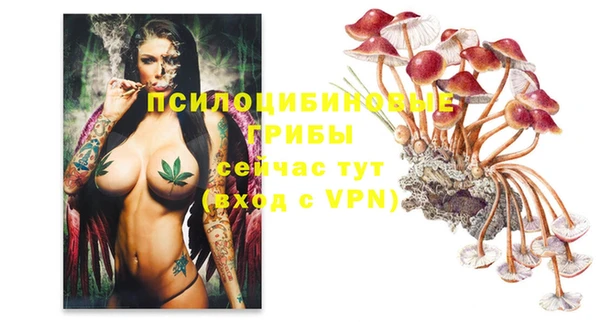 ECSTASY Медногорск