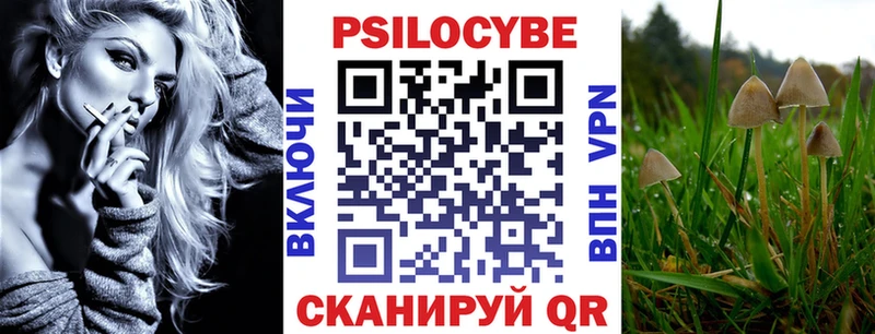 магазин    Туран  Галлюциногенные грибы прущие грибы 
